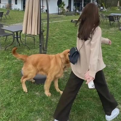 她们的美味关系